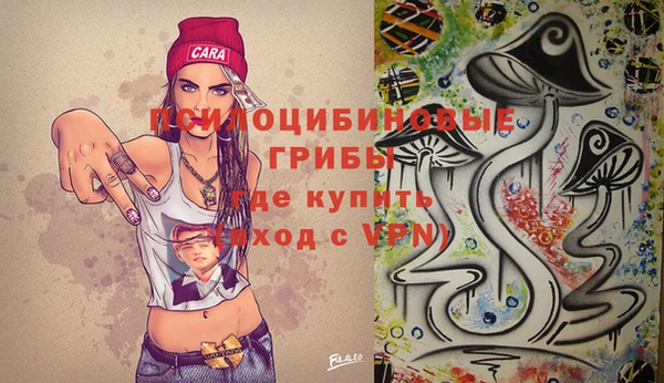 гашик Абаза