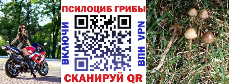 Галлюциногенные грибы Cubensis Алапаевск