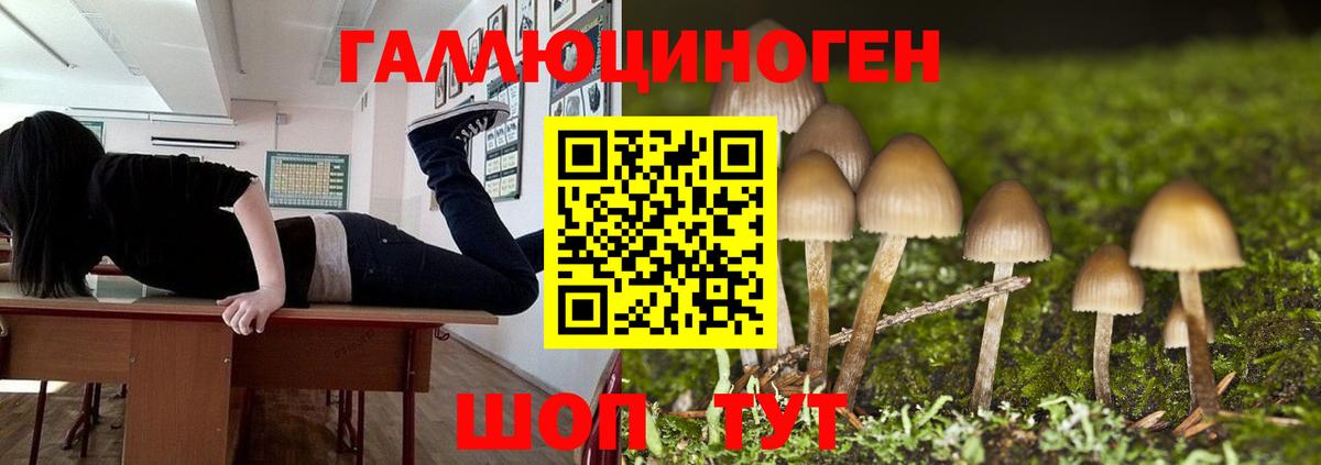 Галлюциногенные грибы Cubensis Алапаевск